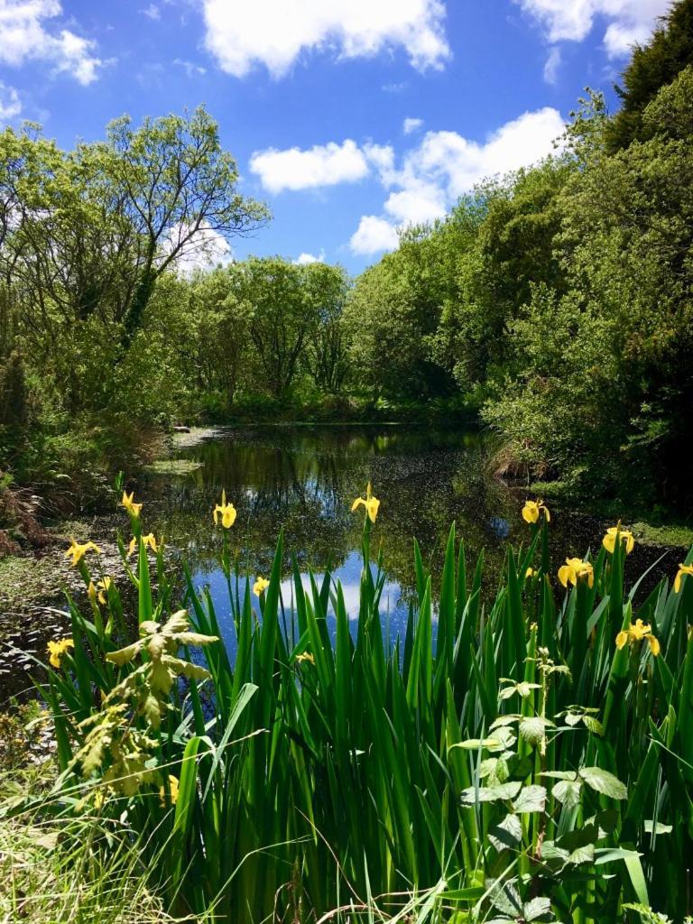 Trecombe Lakes كامبورن الغرفة الصورة