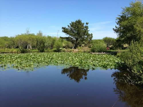 Trecombe Lakes كامبورن المظهر الخارجي الصورة